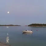 Mime 로고즈니차