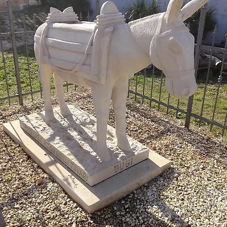 Daire Mime Rogoznica (Sibenik-Knin)