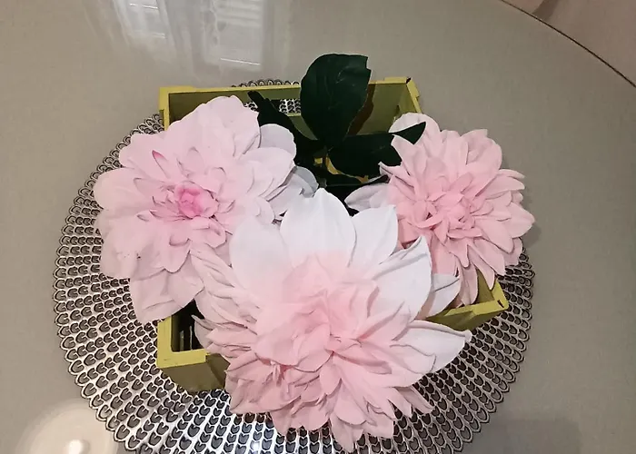 Mime * Rogoznica (Sibenik-Knin)